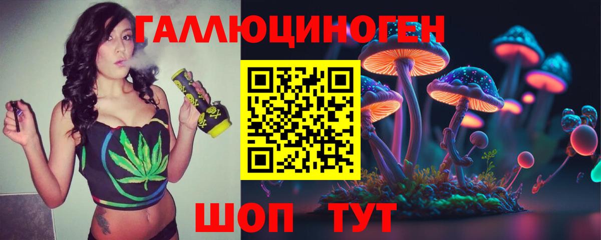 Благовещенск  Псилоцибиновые грибы мухоморы  Вход с VPN 
